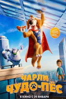Чарли Чудо-пёс