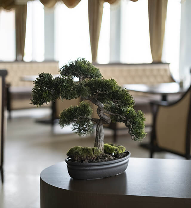 Ресторан Амстердам