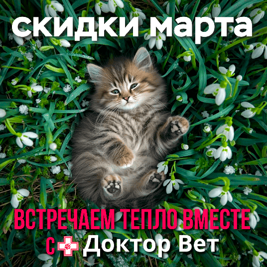Встречаем весну вместе с «Доктор Вет»!