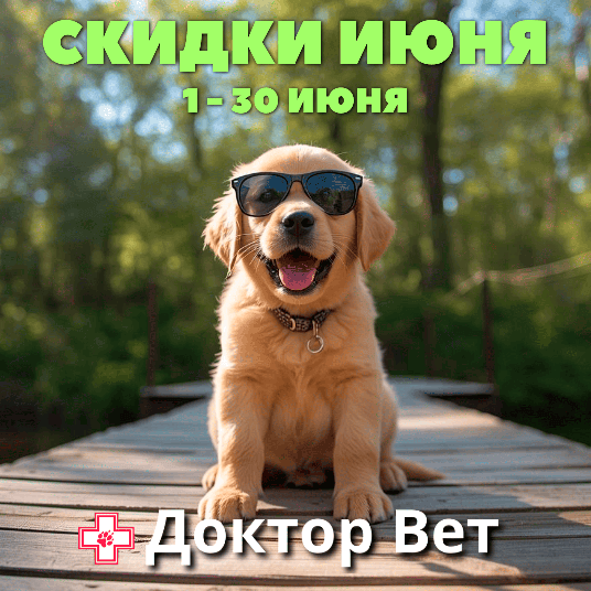 Лето, солнце, зоо-скидки в Доктор Вет!